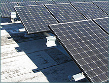 Renew Solar